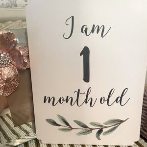Card milestone baby cards 1-12 months